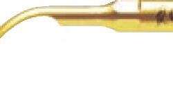 G2T Woodpecker Scaling Scaler Tip EMS Type