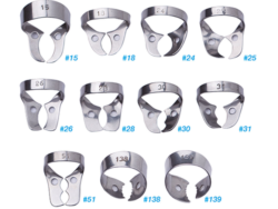 Molar Clamps WITHOUT Dam-Engaging Projections
