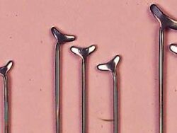 Roach Clasps 10,s 1271370