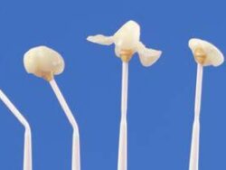 Valustick Applicators 50,s 909